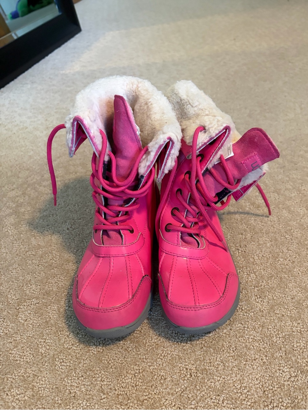 Ugg Butte Waterproof Winter Boots